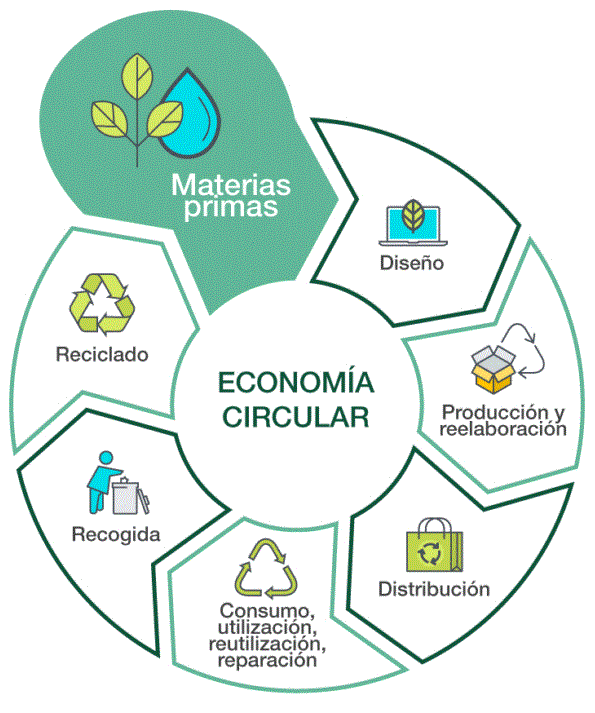 Gráfico Economía Circular ecolec 768x933