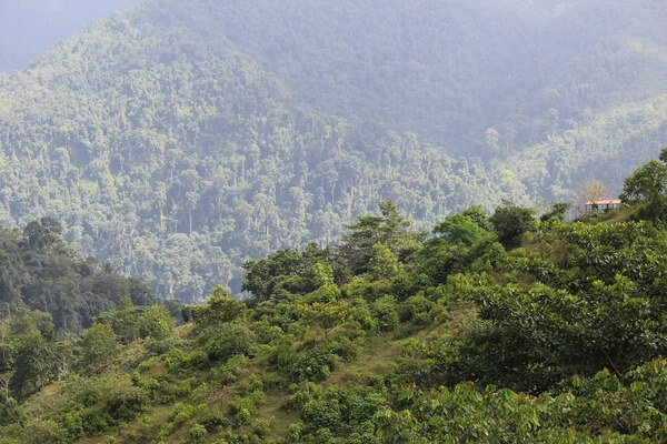 Paisaje de montaña