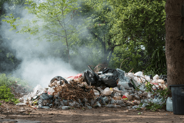 Basura quemada 600