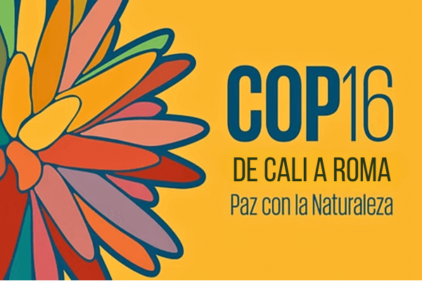 COP16 Roma 600