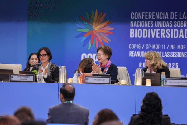 Cop16.2 Ministra 600