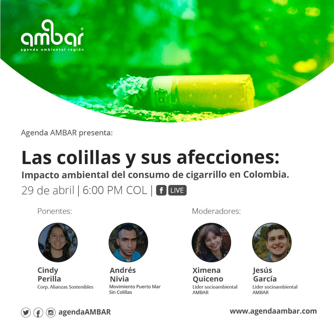 Colillas de cigarrillo y medio ambiente