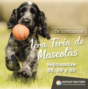 Feria de mascotas