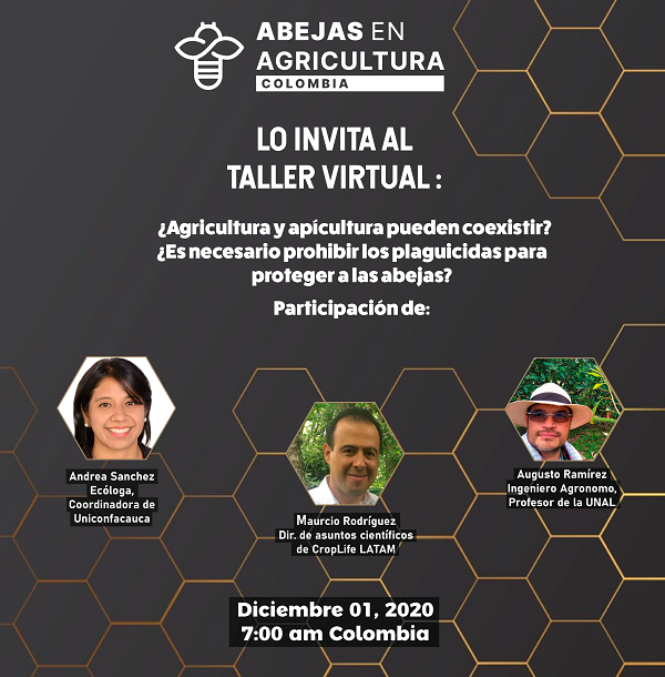 INVITACION taller abejas