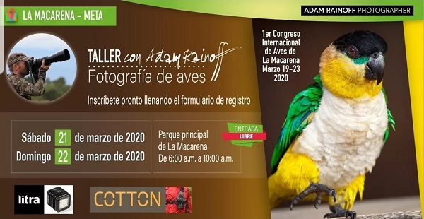 Taller fotografía de aves