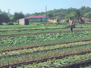 Foto comunidades 2