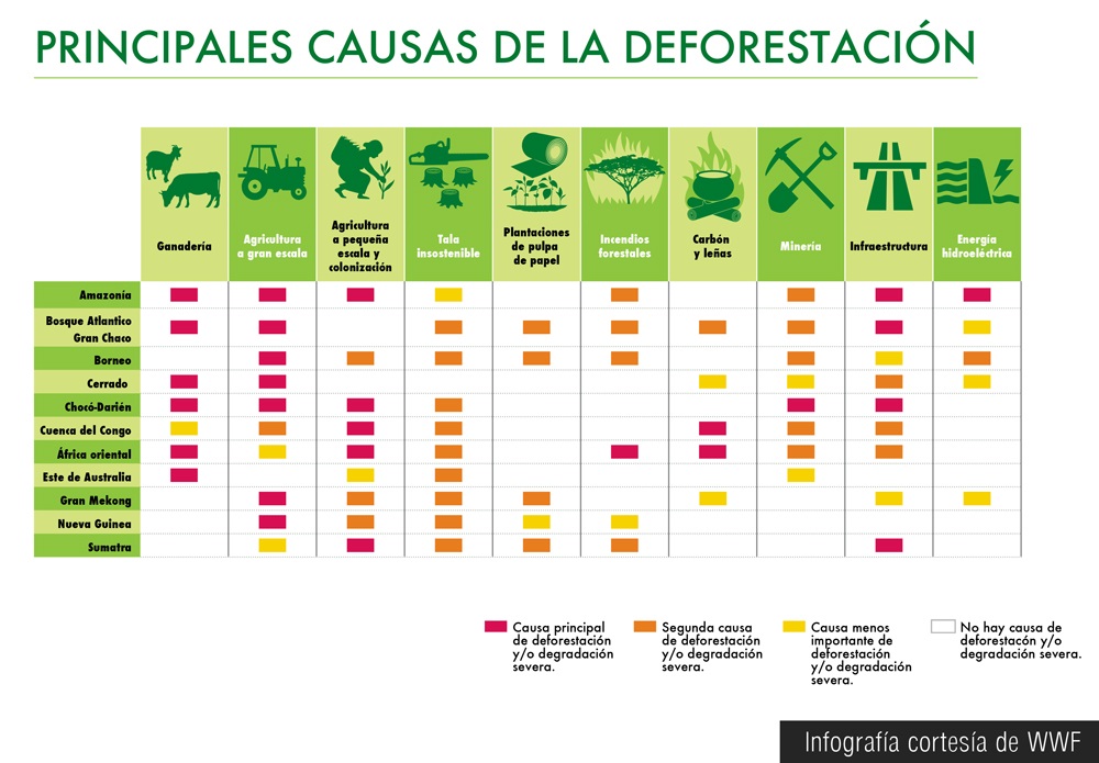 Infografìa ok ok