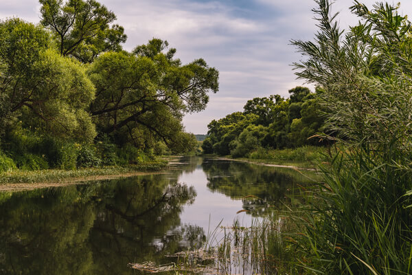 Río