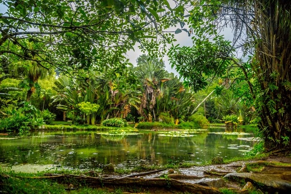 Paisaje Natural