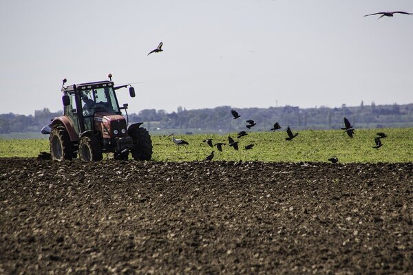 Tractor en tierra arada.