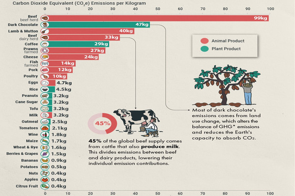 alimentos contaminación