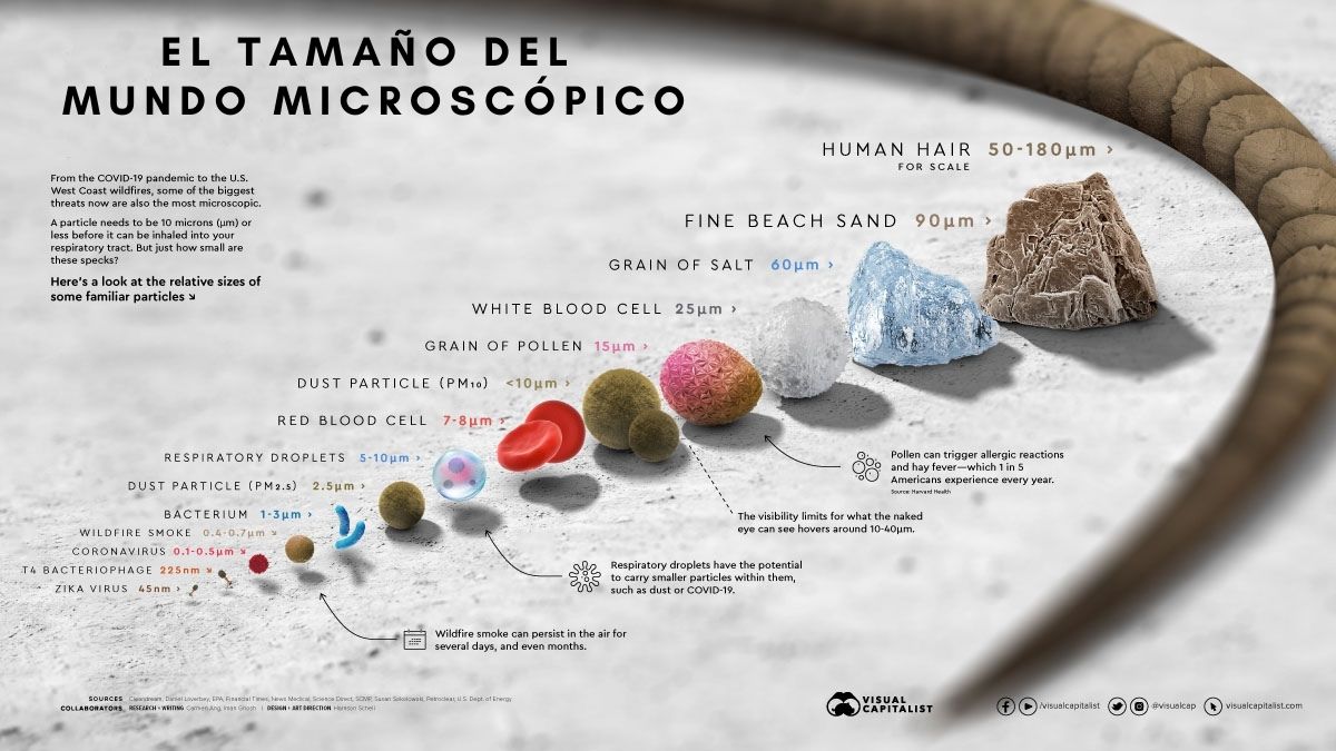 El tamaño del mundo microscópico