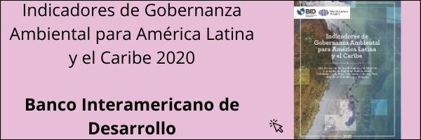 Informe Ambientall 2020 BID