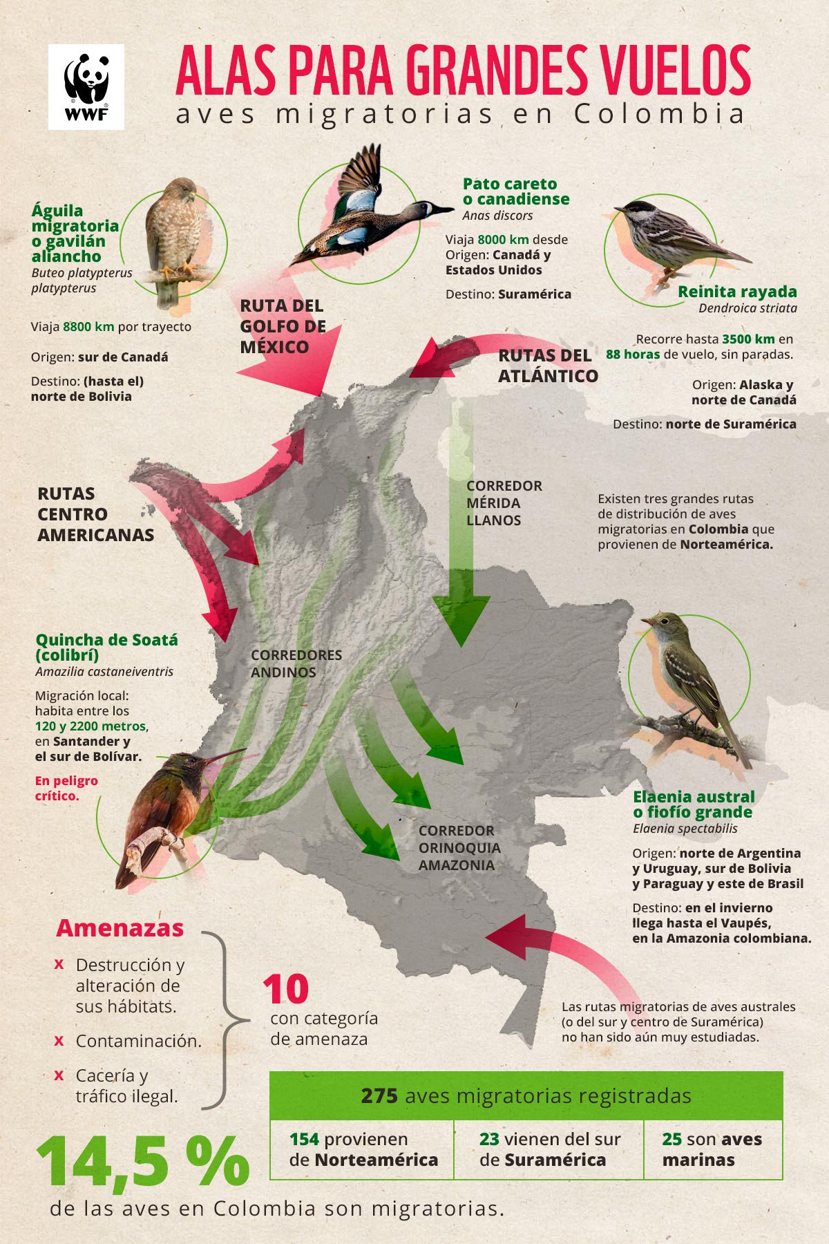 infografia aves migratorias colombia