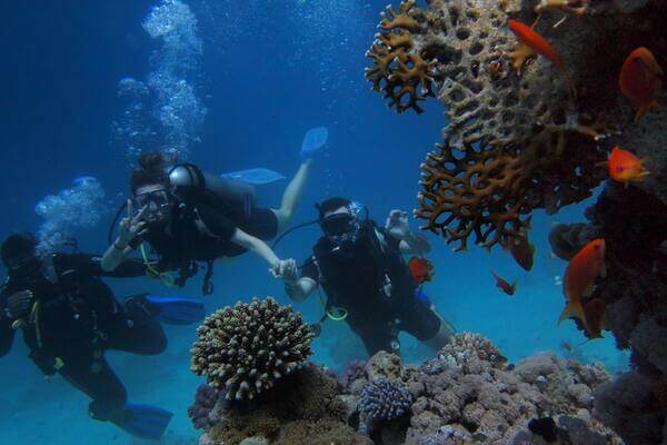 buceo 600
