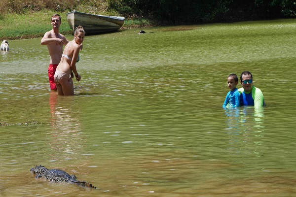 caiman Foto 1600x400