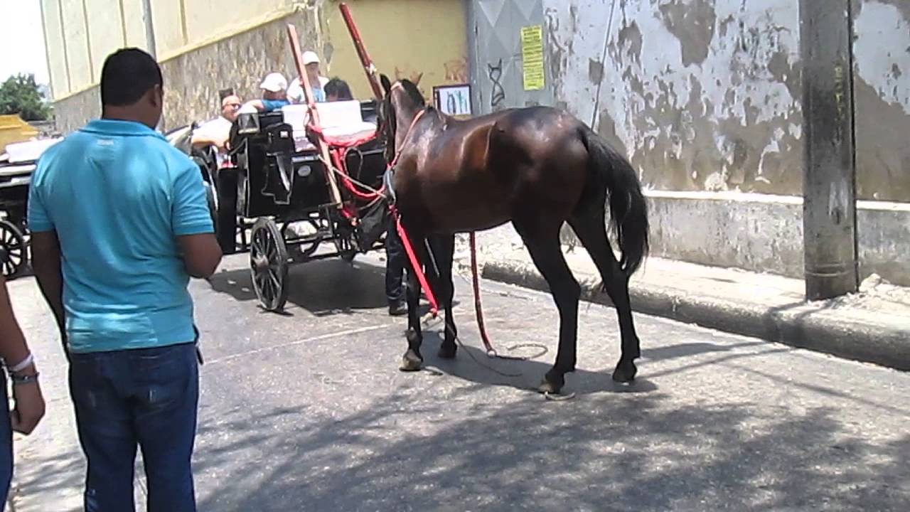 coches