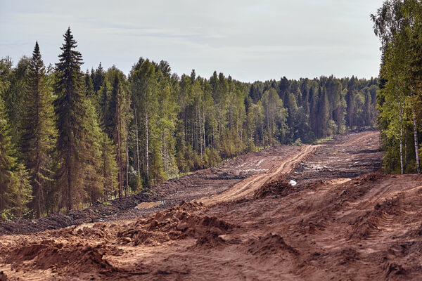 construction route through forest sun flare 1 1