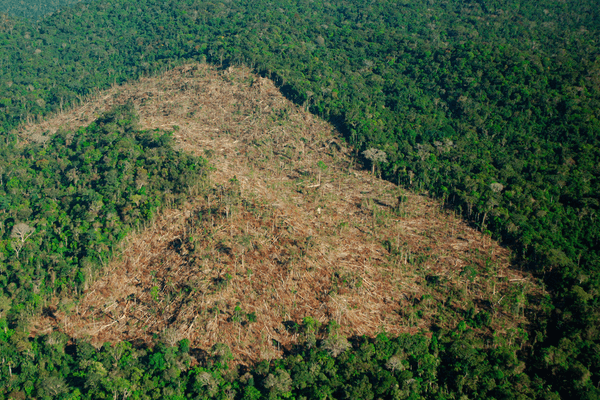 deforestacionamazonas 1 1