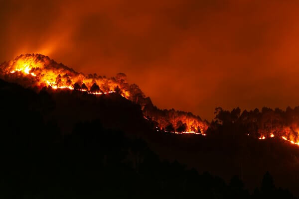 incendiosextremos600