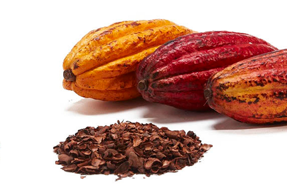 CACAO