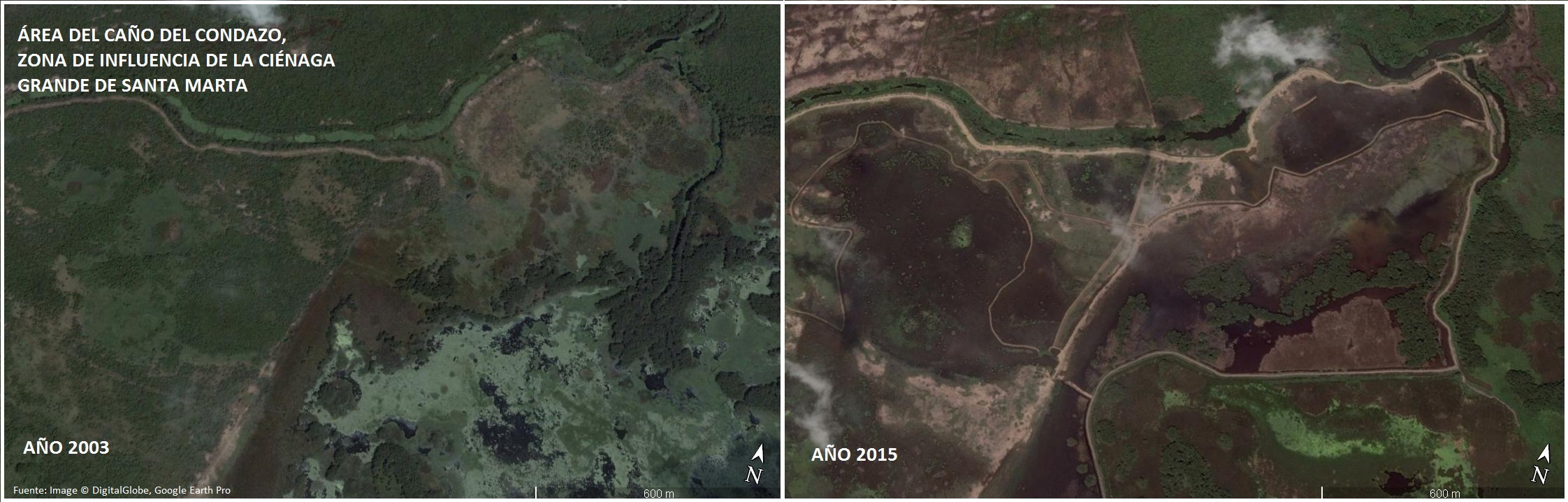 Caño Condazo 2003 2015