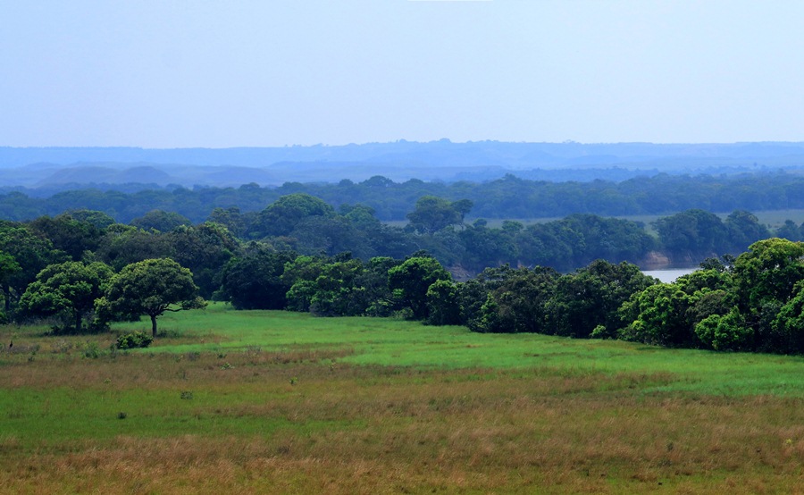 Llanos orientales