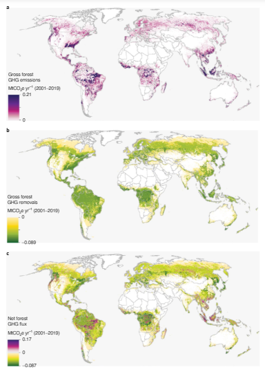 Mapa deforestacion