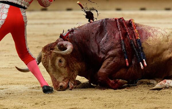 Toro Nota
