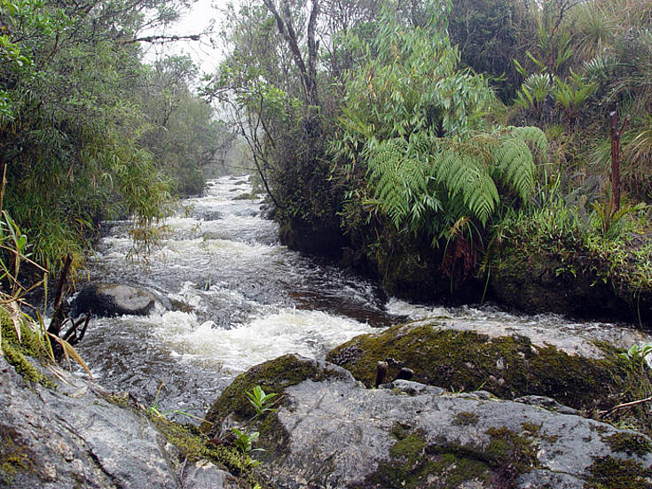 agua foto