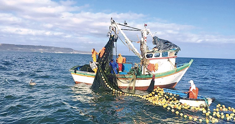 Gobierno otorga beneficio al precio del diesel marino que ...