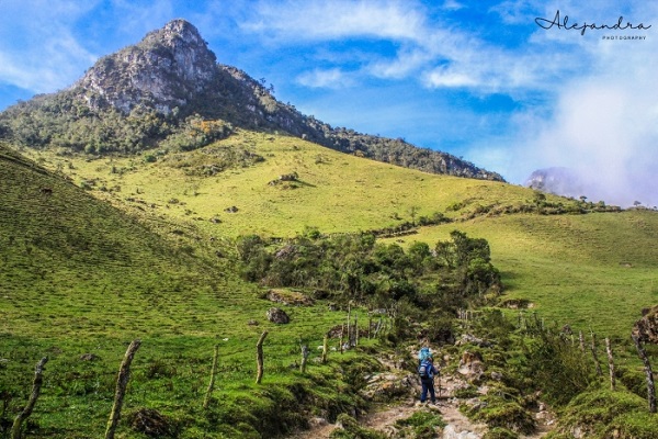 1. Parque Nacional Natural Los Nevados Alejandra Lo pez Rami rez