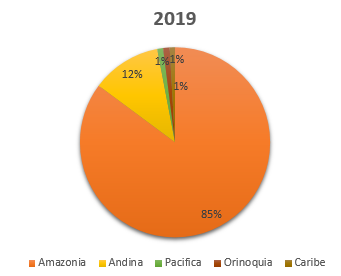 2019 DEFORESTACION COLOMBIA