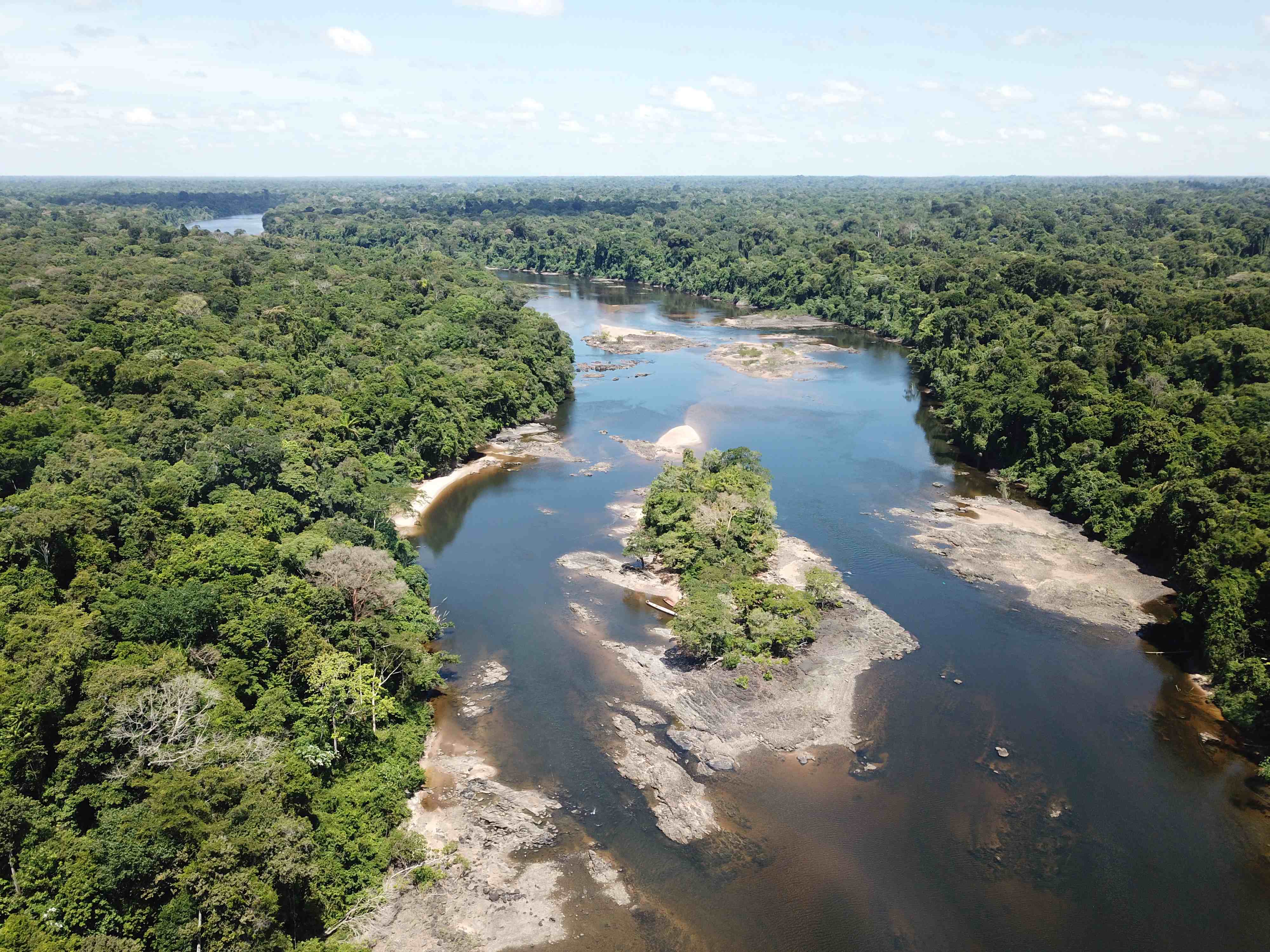 4a carlos david de santana aerial view typical electric eel upland habitat coppename river suriname picture by de santana 1