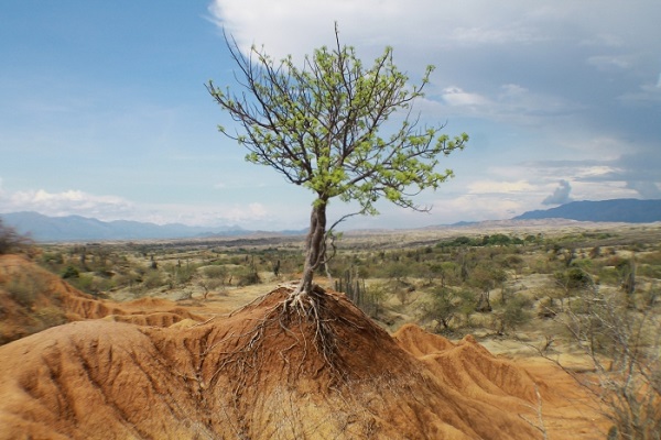 7. Desierto de la Tatacoa Huila Mari a Monroy