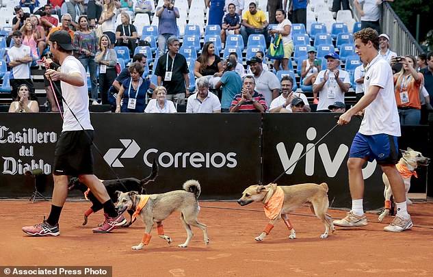 ATP Brasil 2