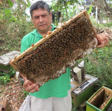 Abejas Cesar