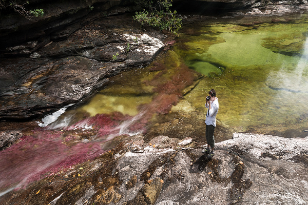 CAÑOCRISTALES600