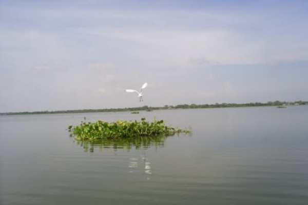 CIENAGA600 Foto 2