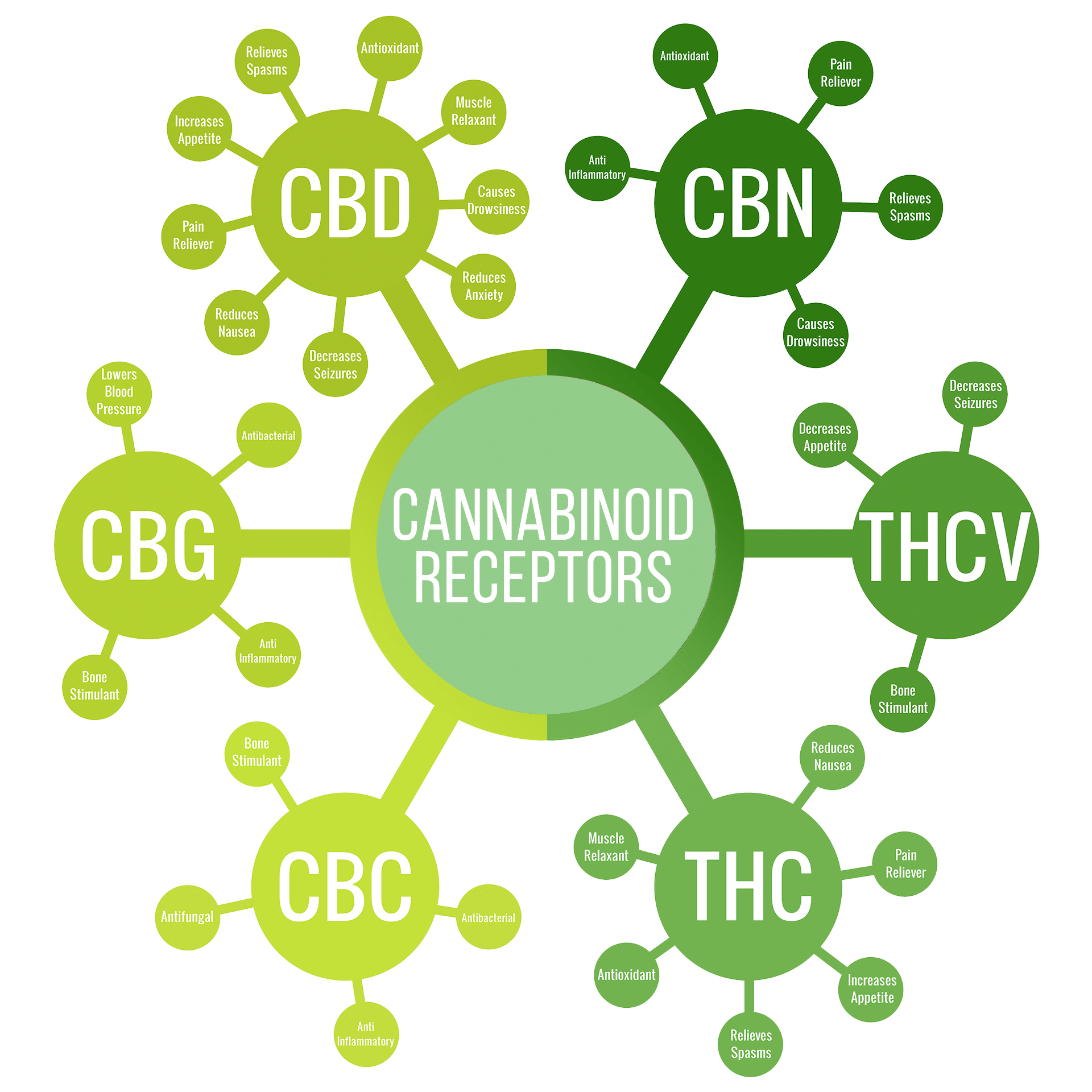Cannabinoides salud