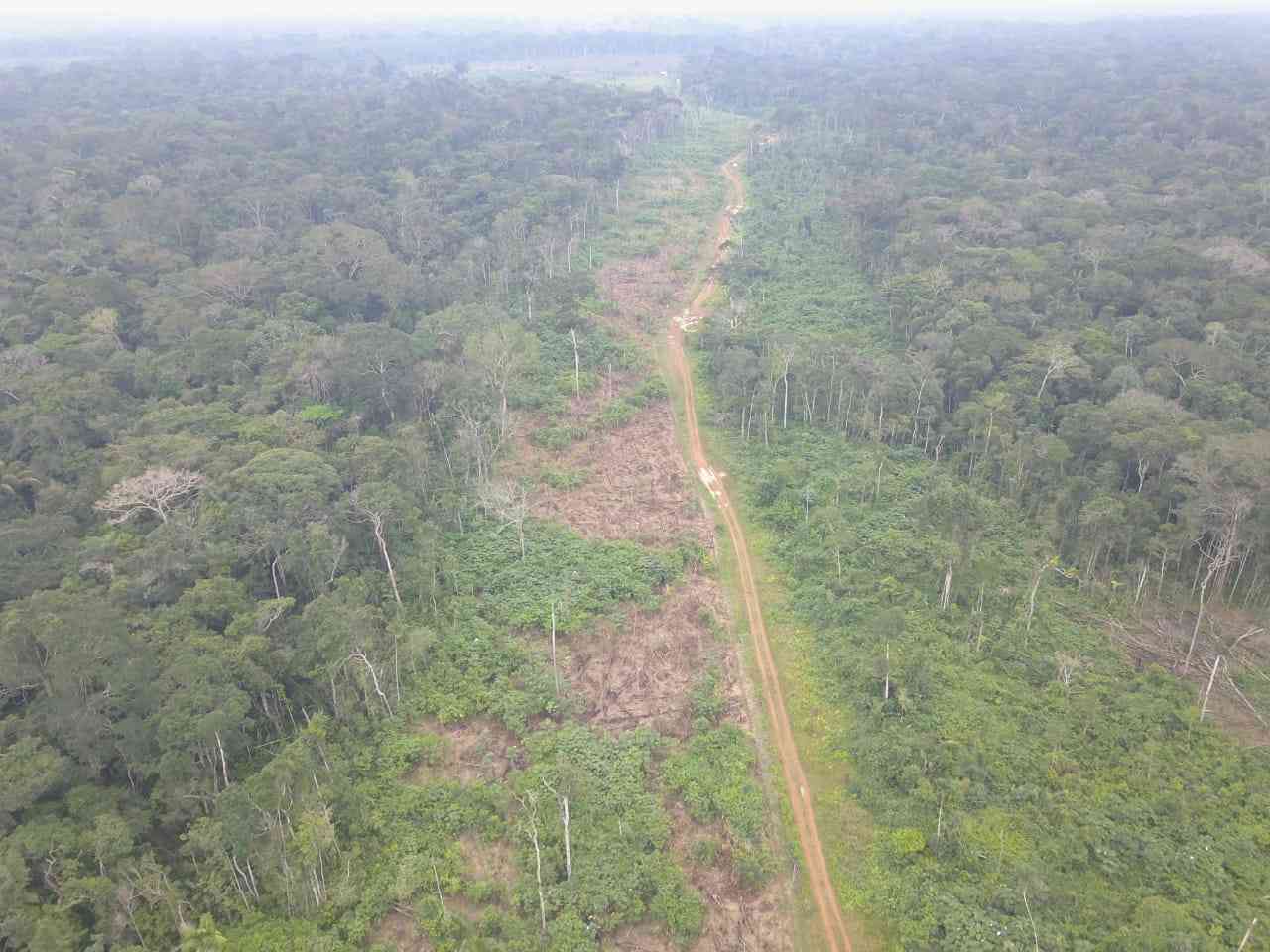 Carretera Guaviare