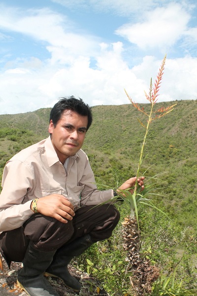 Científico bromelia huila