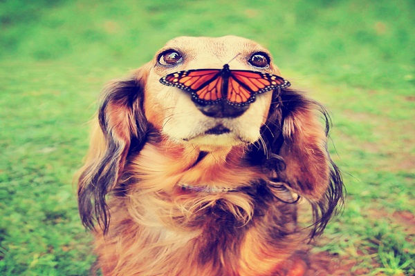 Comedy photo 2