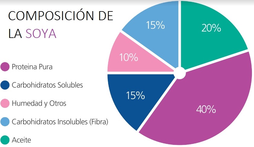 Composición de la Soya