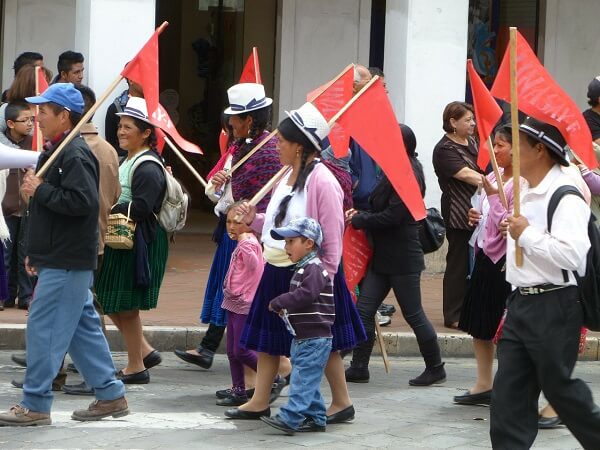 Consulta previa