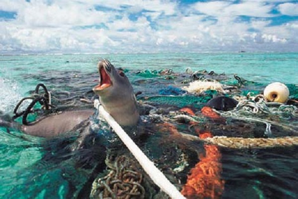 ContaminaciónMares