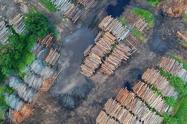 Deforestacion latam