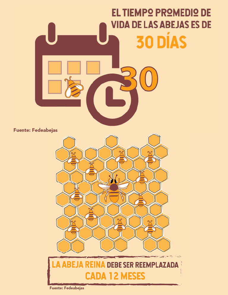 Fedeabejas