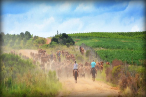 Frontera 1 ok