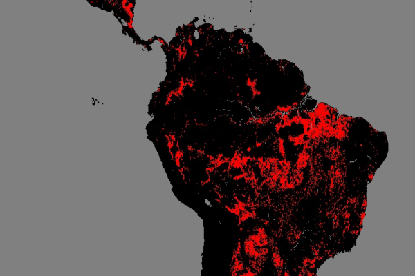 Global Forest Change 1